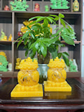 TÚI KIM TIỀN SIZE NHỎ